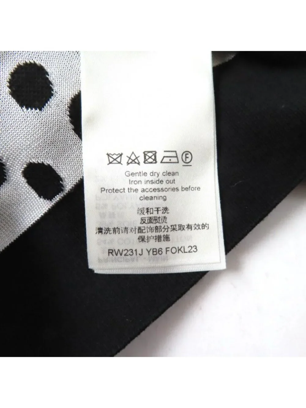 Louis Vuitton brand louis